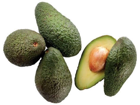 Avocado