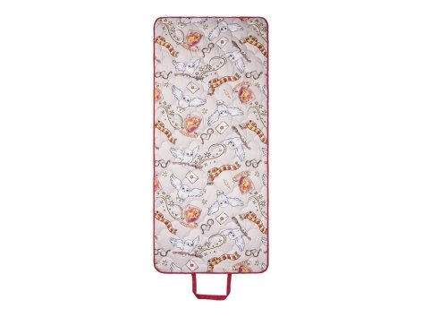 Stuoia da spiaggia "Paw Patrol, Harry Potter, Rainbow High"