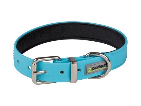 Set collare e guinzaglio per cani