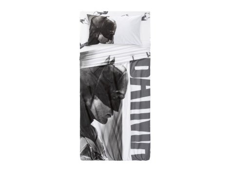 Completo lenzuola singole “Paw Patrol, Peppa Pig, Jurassic World, Hello Kitty, Batman”