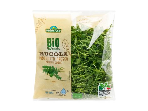 Rucola bio