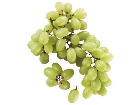 Uva bianca senza semi
