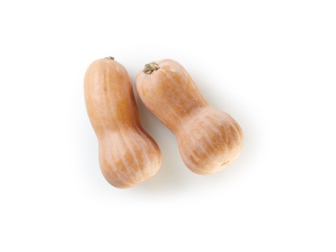 Zucca Butternut