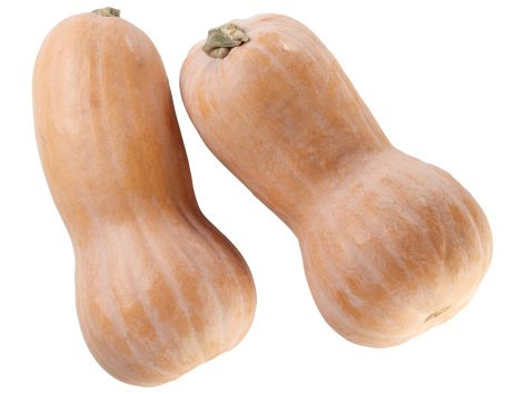 Zucca Butternut