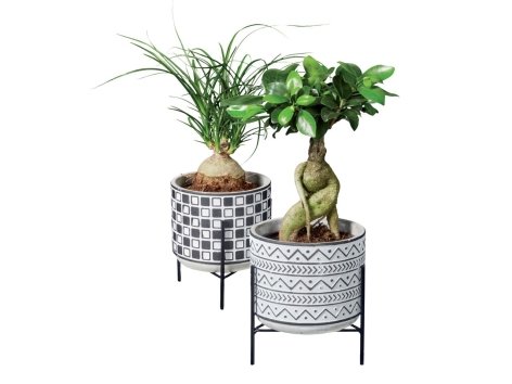 Easy-Care Black & White