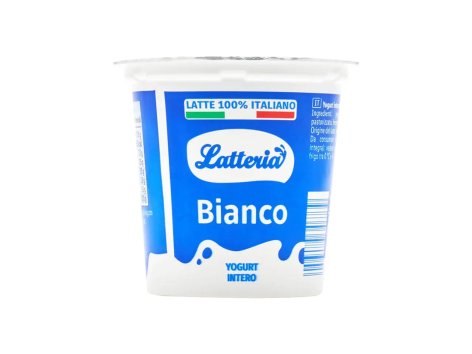 Yogurt intero bianco
