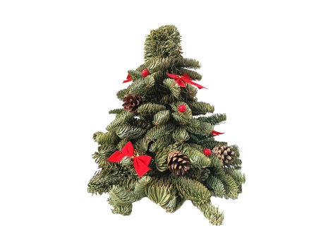 Albero di Natale