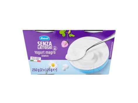 Yogurt bianco magro senza lattosio