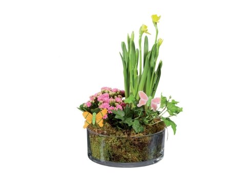 Composizione fiorita