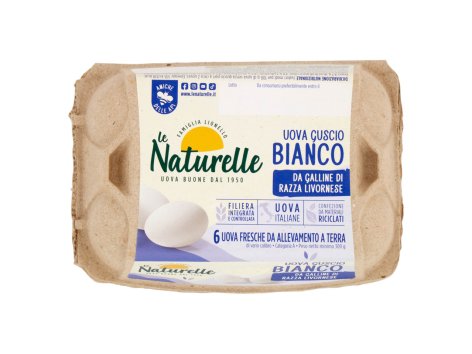6 Uova guscio bianco