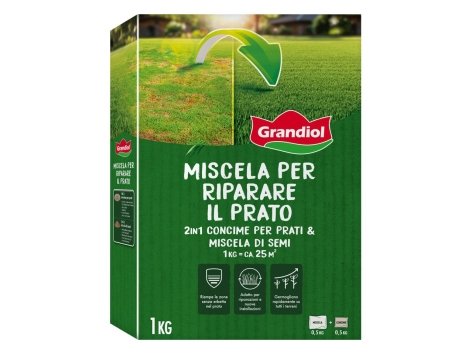 Miscela per prato