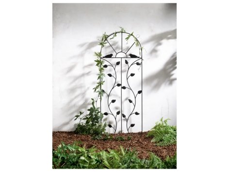 Spalliera in metallo per rampicanti