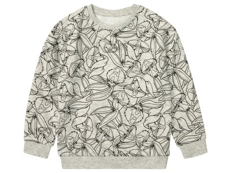 Felpa da bambino “Warner Bros”