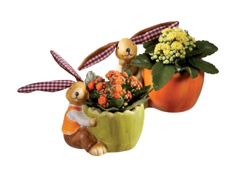 Coniglietto di Pasqua con Kalanchoe