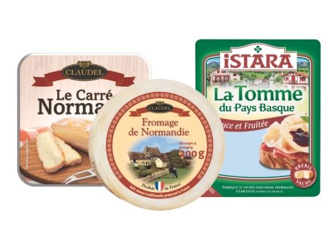 Selezione di formaggi tipici francesi