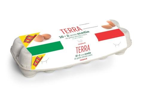 12 uova fresche medie