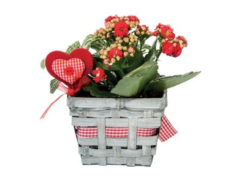 Composizione floreale