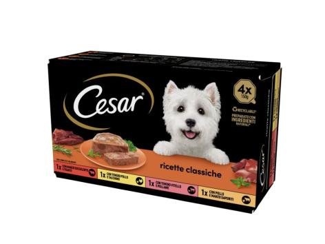 Cibo umido per cani classico