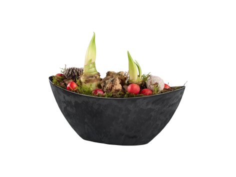 Composizione natalizia