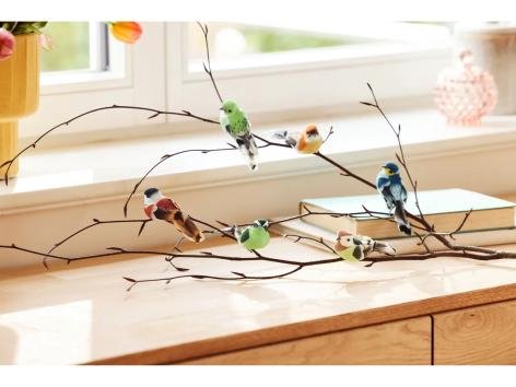 LIVARNO home Clip decorative, 6 pezzi