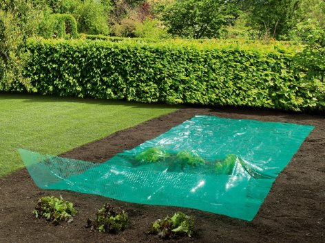 Telo o cappuccio proteggi piante