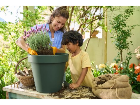 Guanti da giardinaggio, 2 paia