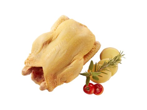 Pollo allevato all'aperto