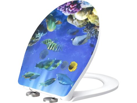 Asse per wc con chiusura automatica