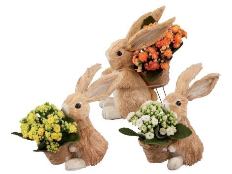 Coniglietto di Pasqua