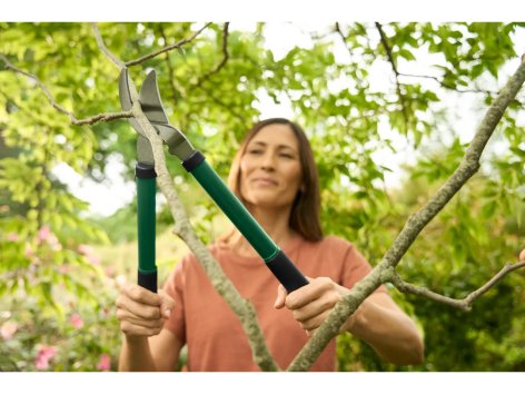 Tagliasiepi o troncarami