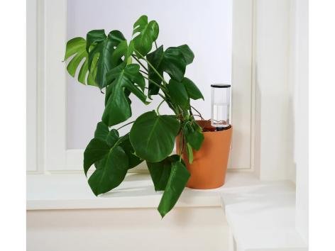 Irrigatore a goccia per piante