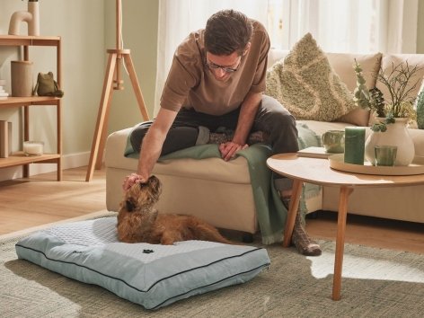 Lettino per cani a regolazione termica