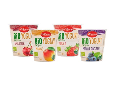 Yogurt alla frutta biologico
