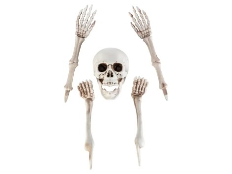 Decorazioni per Halloween