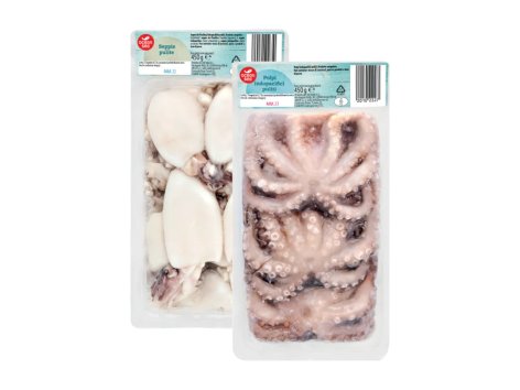 Seppie e polpi indopacifici