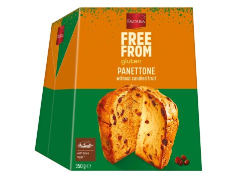 Panettone classico senza glutine