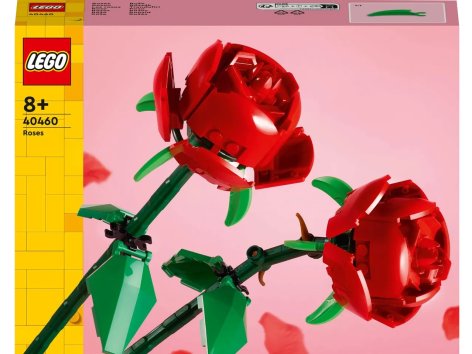 Costruzioni “fiori”