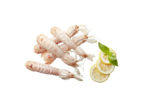 Mare Gioioso Canocchia