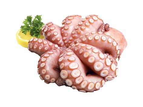 Noriberica Polpo eviscerato