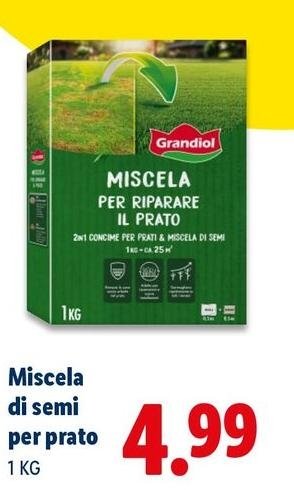 Grandiol - Miscela Di Semi Per Prato