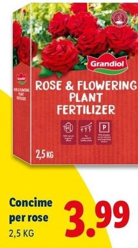 Grandiol - Concime Per Rose