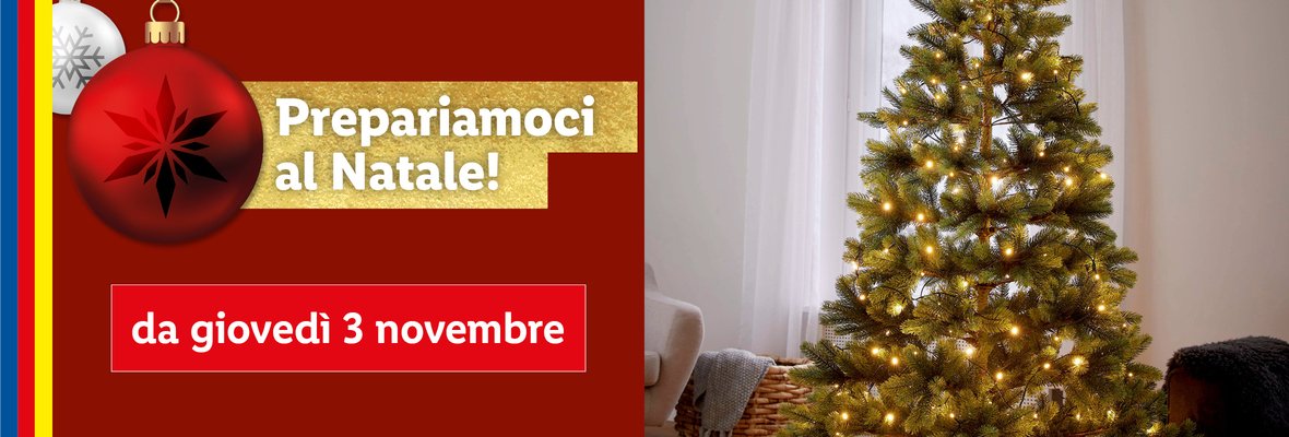 Prepariamoci al Natale!