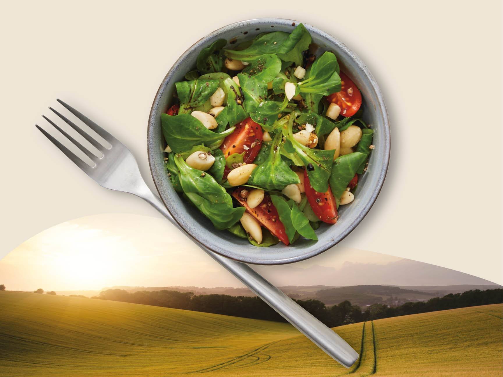 Sulla via del Domani