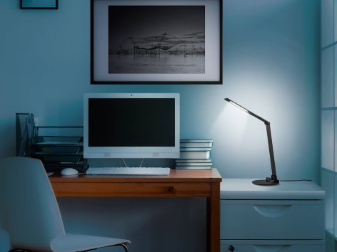 Parkside Arnold Schwarzenegger - Offerte valide da gio 02 novembre 2023