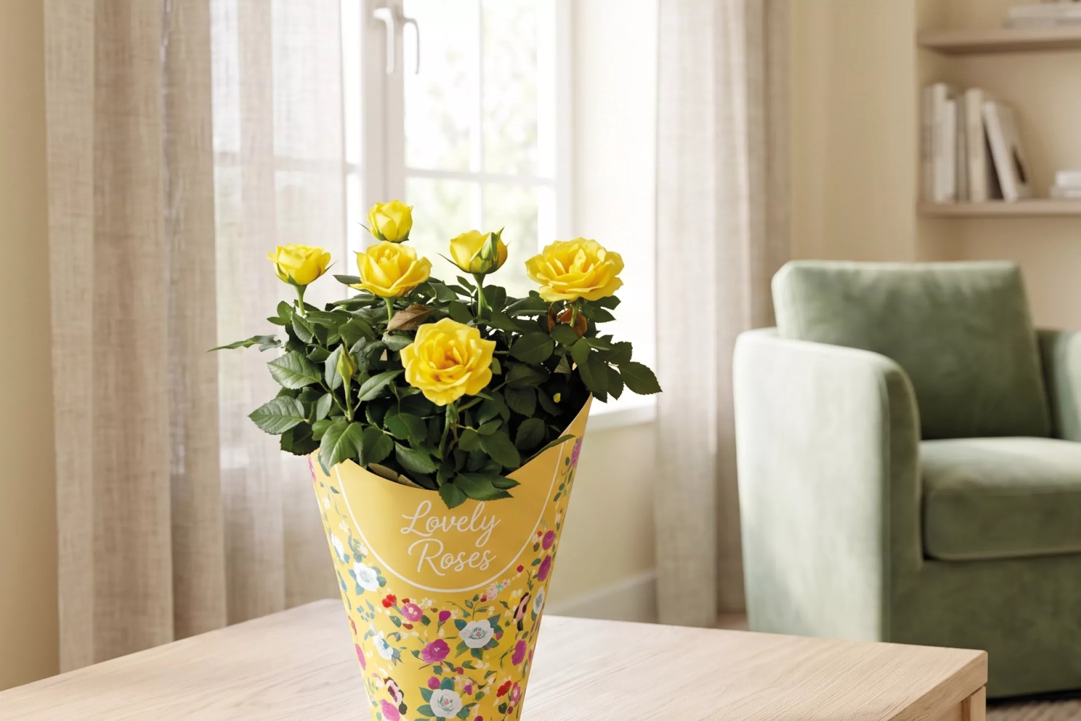 Fiori e Piante