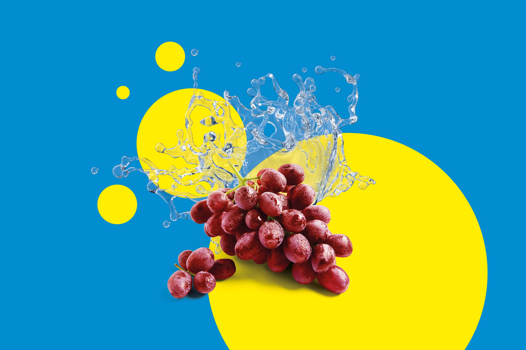 Frutta e Verdura