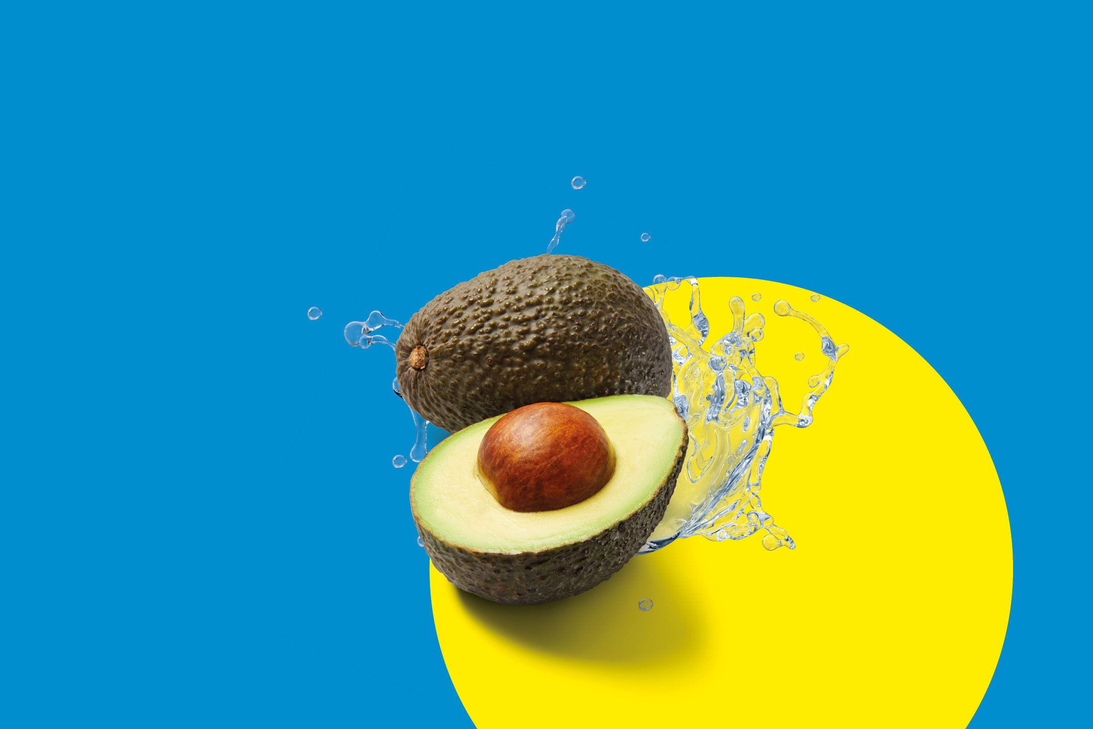 Frutta e Verdura