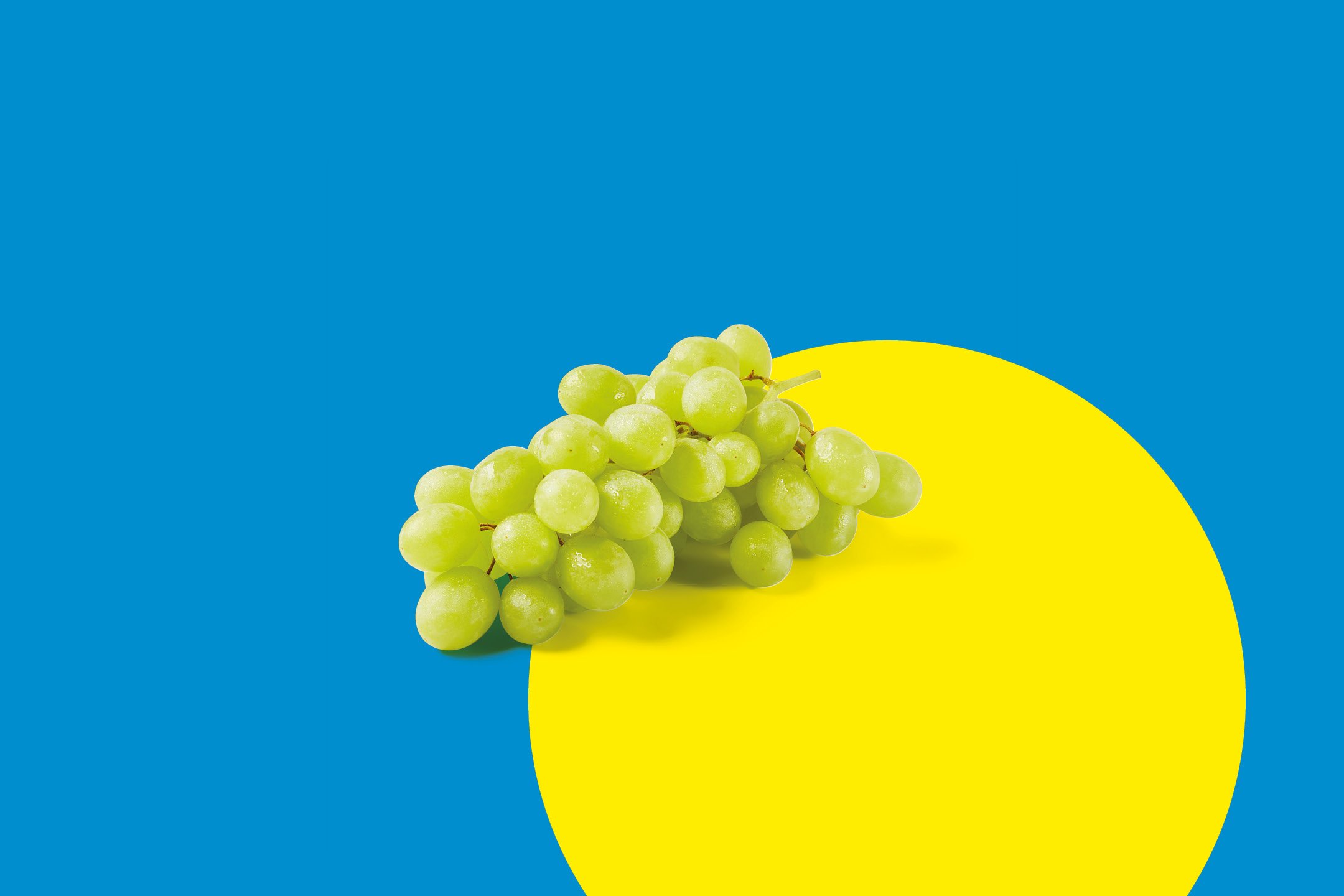 Frutta e Verdura