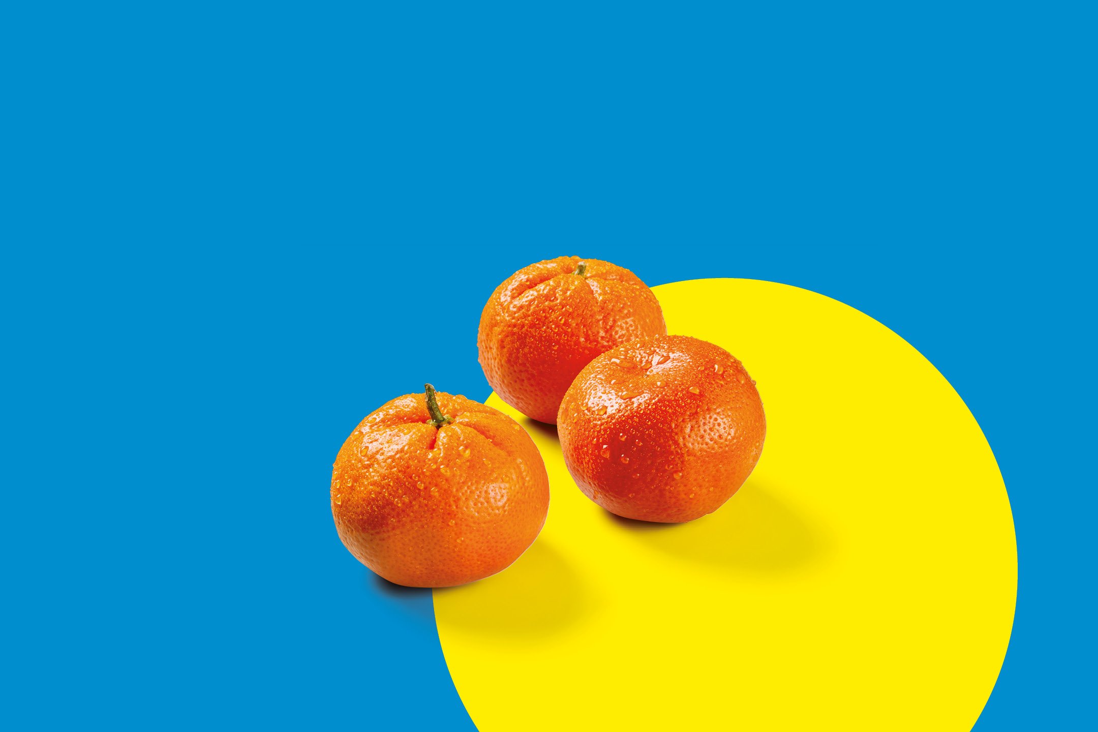 Frutta e Verdura