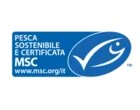 Pesca Sostenibile